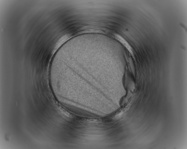 X0000091231002200708301511