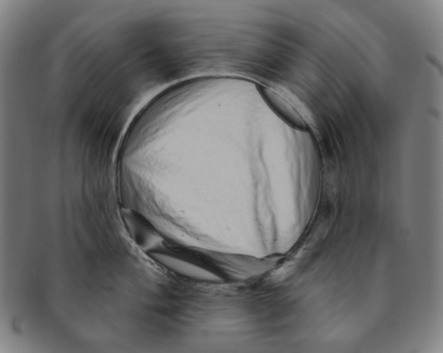 X0000091231004200708301511