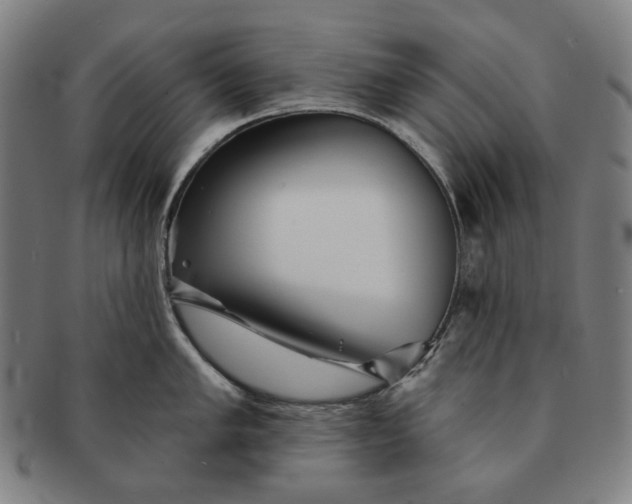X0000091231005200708301511