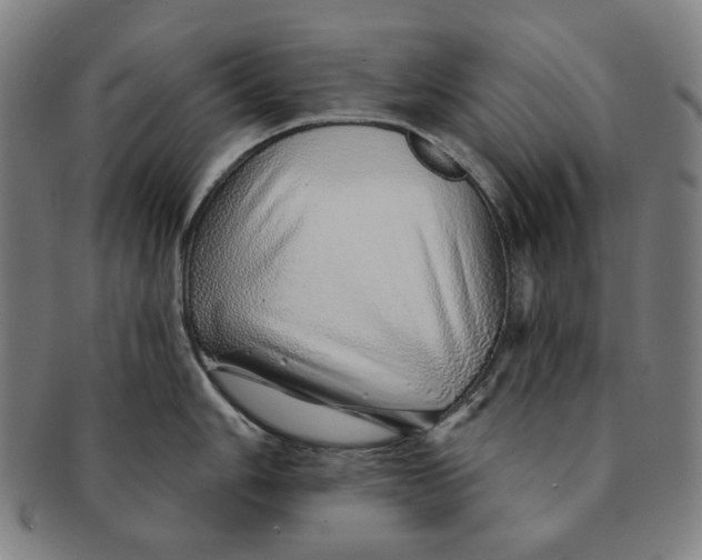 X0000091231006200708301511