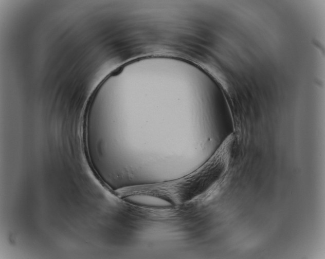 X0000091231007200708301511