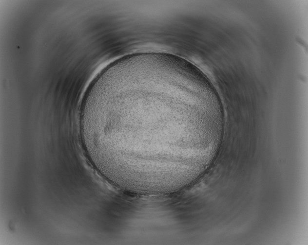 X0000091231008200708301511