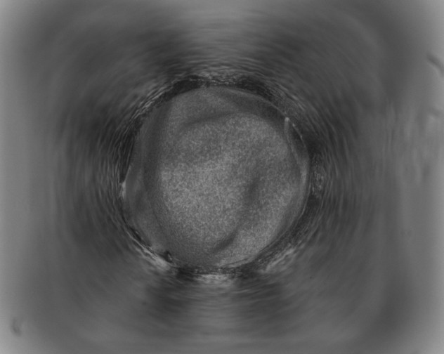 X0000091231010200708301511