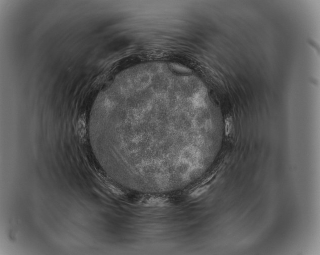 X0000091231011200708301511