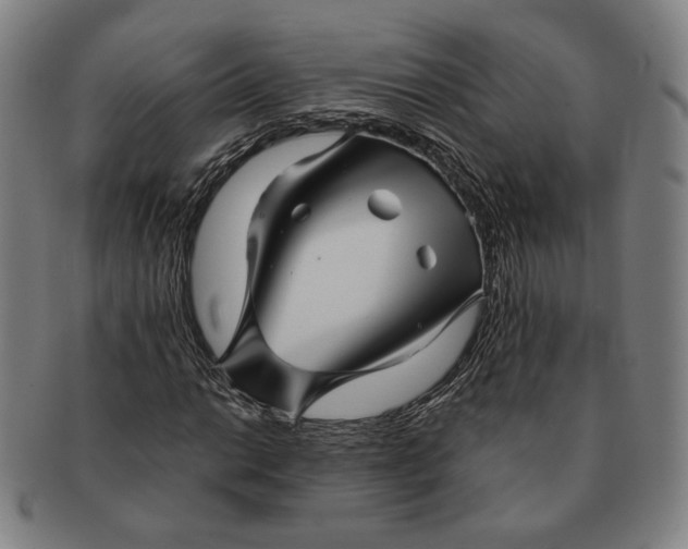 X0000091231014200708301511