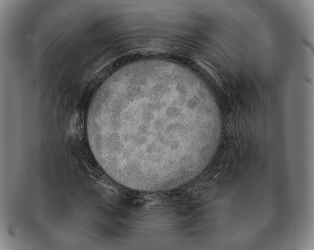 X0000091231015200708301511