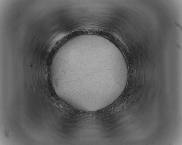 X0000091231016200708301511
