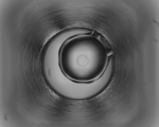 X0000091231018200708301511