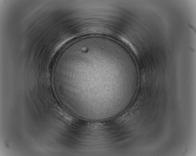 X0000091231019200708301511