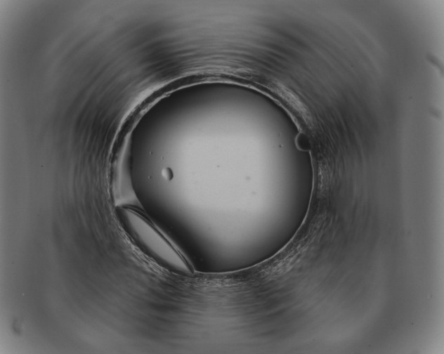 X0000091231020200708301511