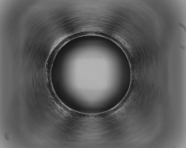X0000091231022200708301511