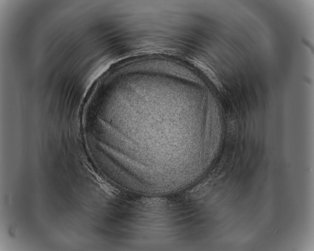X0000091231023200708301511