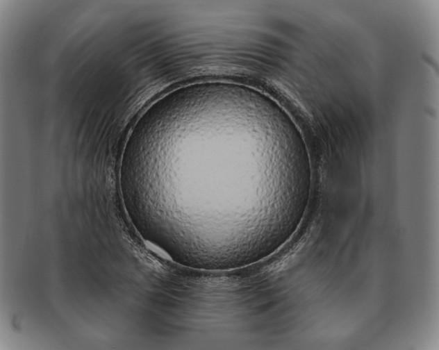 X0000091231025200708301511