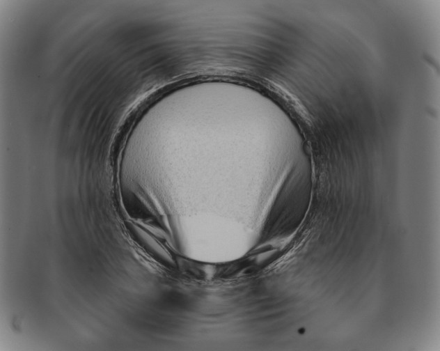 X0000091231027200708301511
