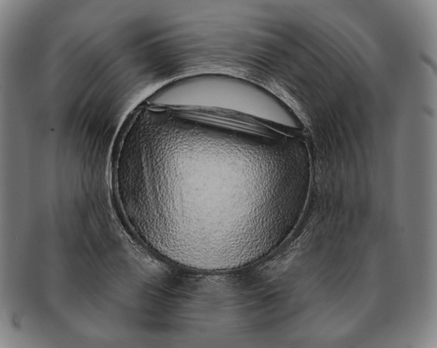 X0000091231028200708301511