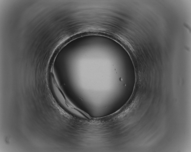 X0000091231029200708301511