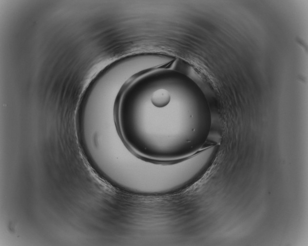 X0000091231030200708301511