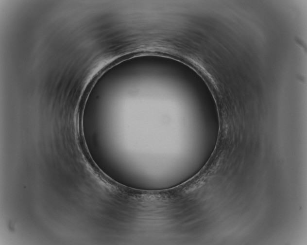 X0000091231032200708301511
