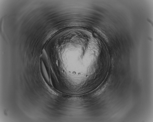 X0000091231033200708301511