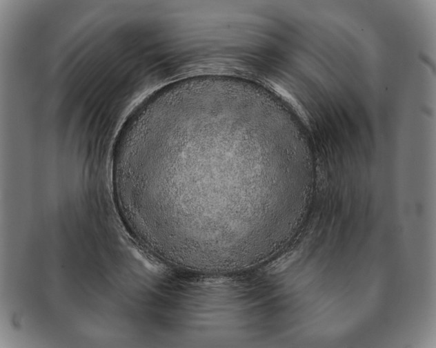 X0000091231035200708301511