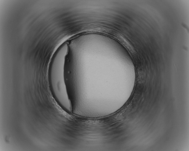 X0000091231036200708301511