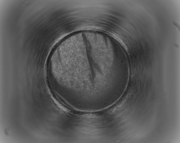 X0000091231037200708301511