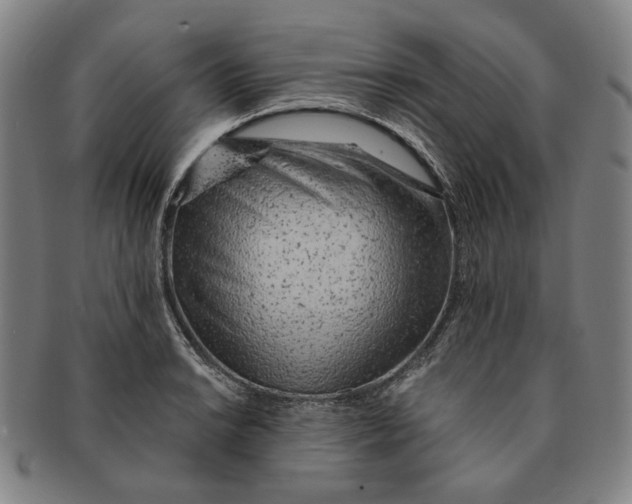 X0000091231038200708301511