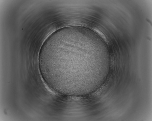 X0000091231039200708301511