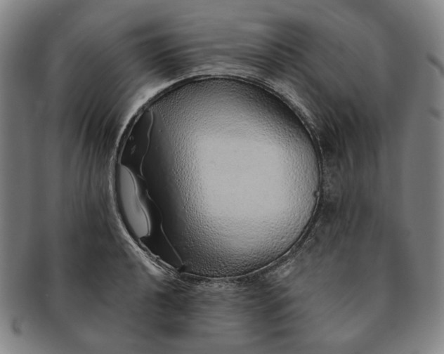 X0000091231040200708301511