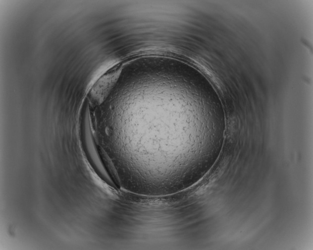 X0000091231042200708301511