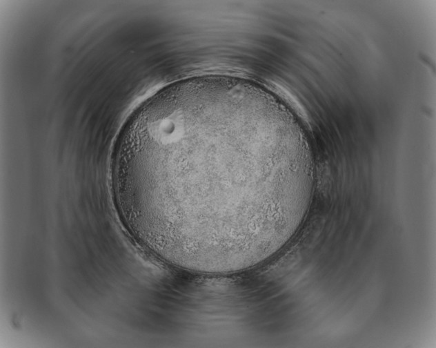 X0000091231043200708301511