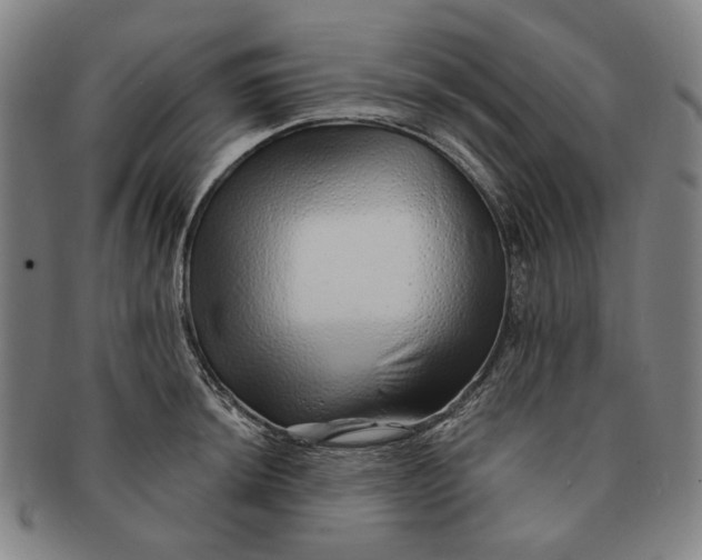 X0000091231044200708301511