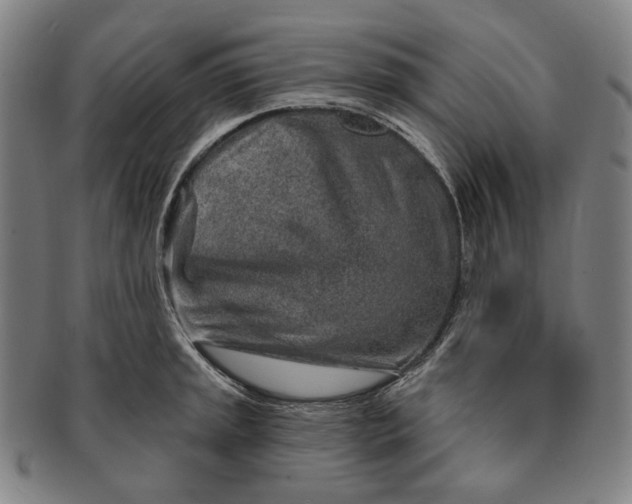 X0000091231045200708301511