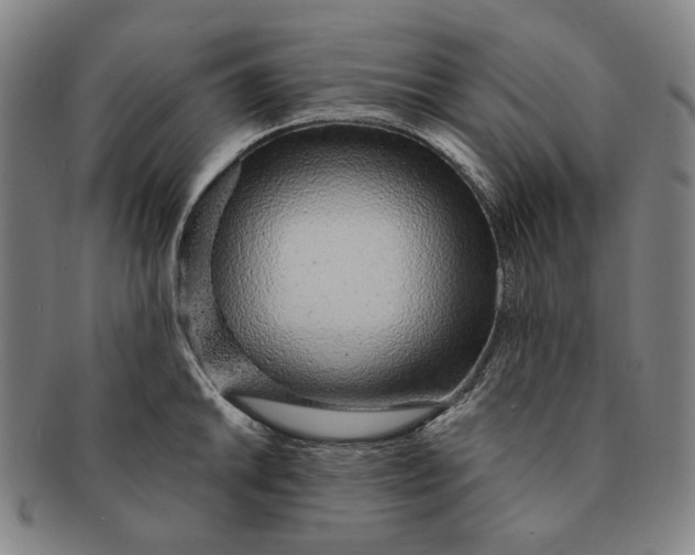 X0000091231046200708301511