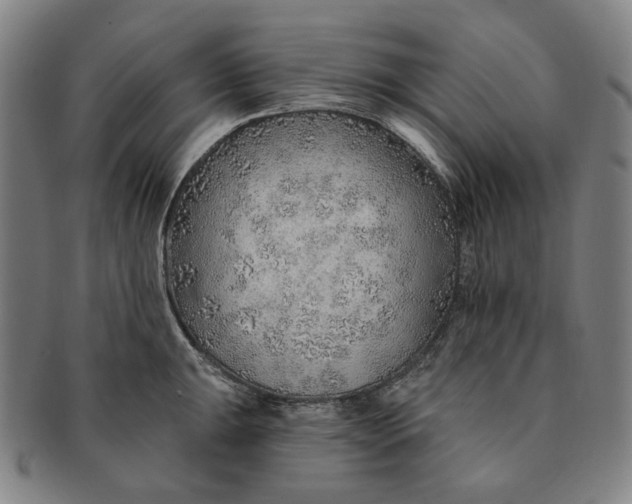 X0000091231047200708301511