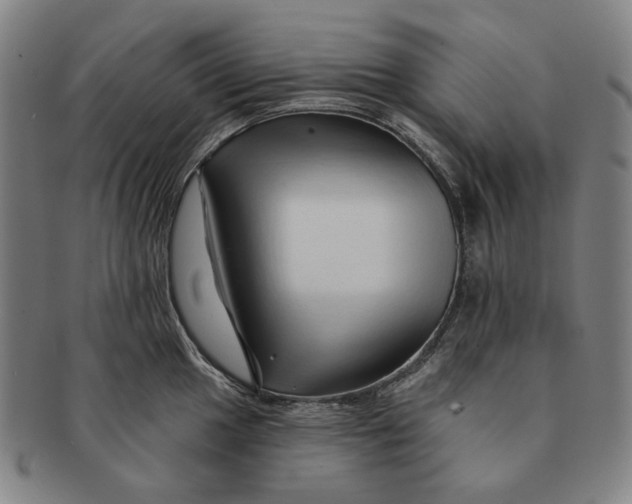 X0000091231049200708301511