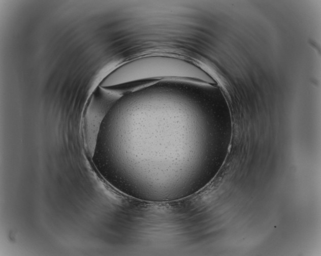 X0000091231050200708301511
