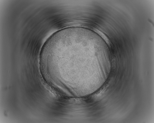 X0000091231051200708301511
