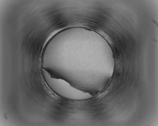 X0000091231052200708301511