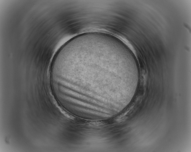 X0000091231053200708301511