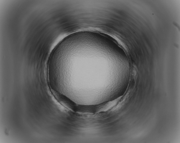 X0000091231054200708301511