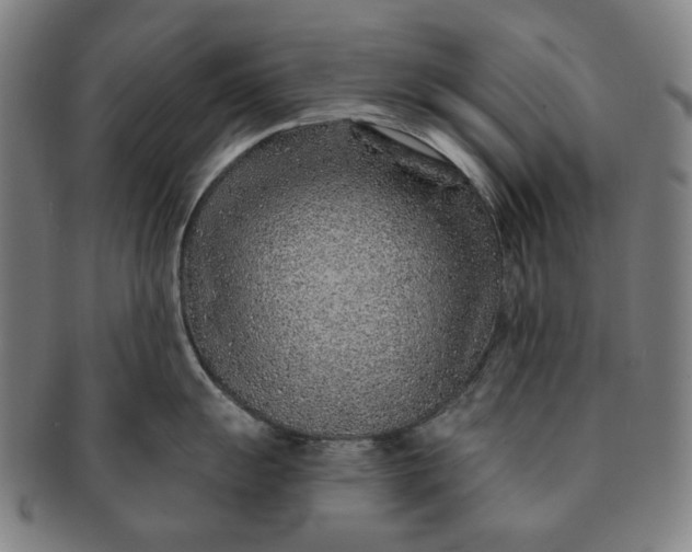 X0000091231055200708301511