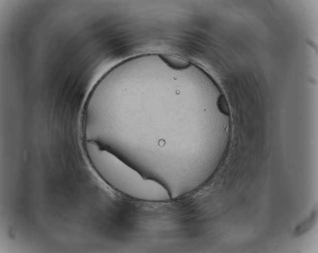 X0000091231056200708301511