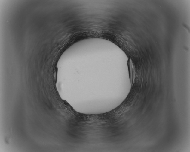 X0000091231057200708301511