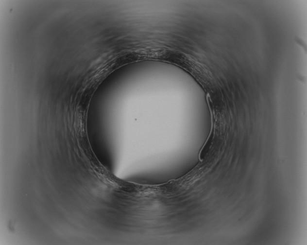 X0000091231058200708301511