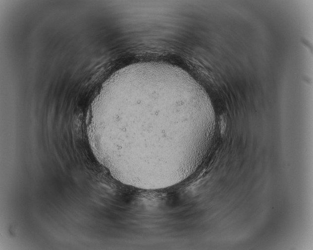X0000091231059200708301511