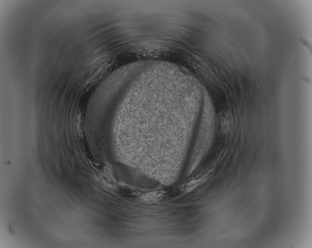 X0000091231060200708301511
