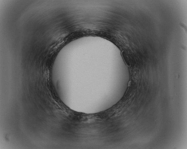 X0000091231061200708301511