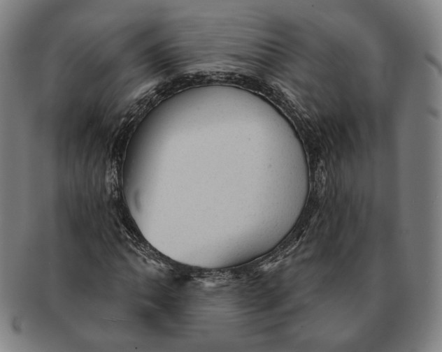 X0000091231062200708301511