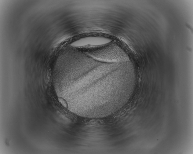 X0000091231063200708301511